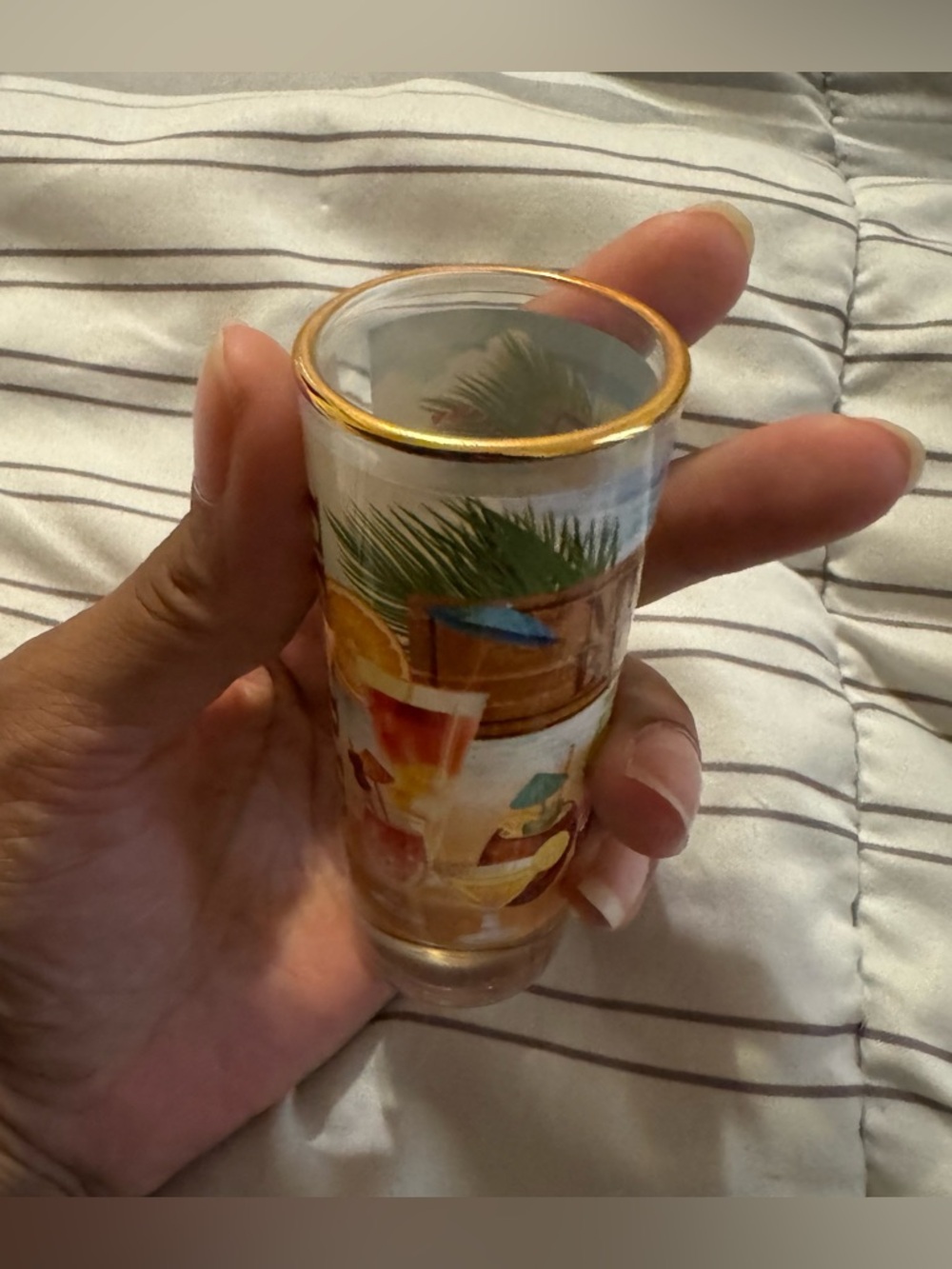 NEW Authentic Florida Tropical Shot Glass with Gold Rim - Picture 4 of 5